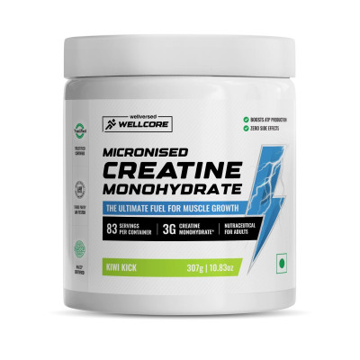 Well core | 307gm | 83 servings | all flavours